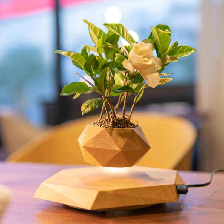 Floating 360° Wood Bonsai Flower Pot