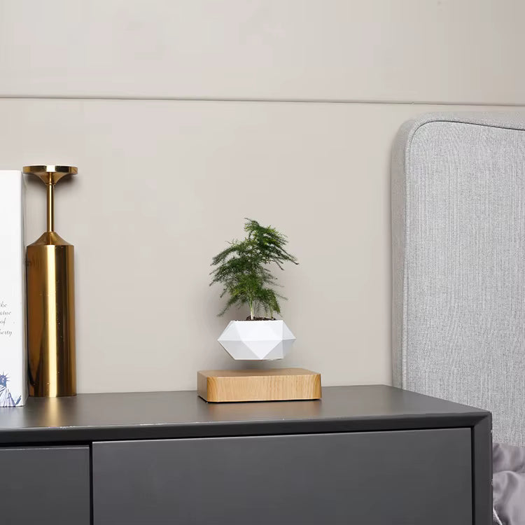 Levitating 360° Modern Chinese Flower Pot