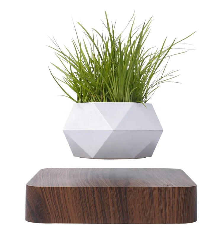 Levitating 360° Modern Chinese Flower Pot