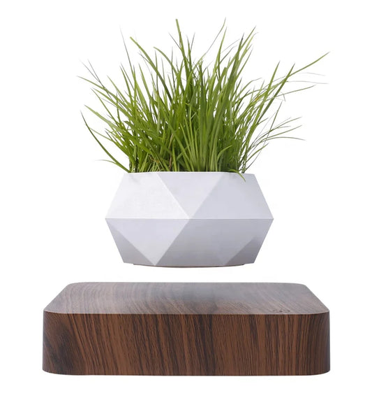 Levitating 360° Modern Chinese Flower Pot