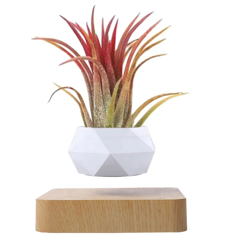 Levitating 360° Modern Chinese Flower Pot