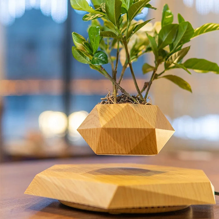 Floating 360° Wood Bonsai Flower Pot