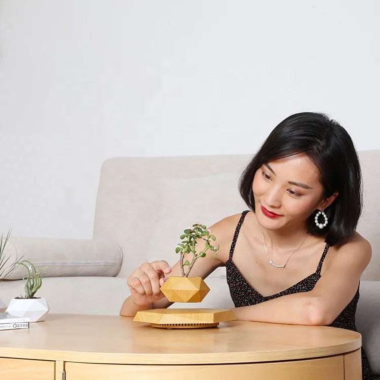 Floating 360° Wood Bonsai Flower Pot
